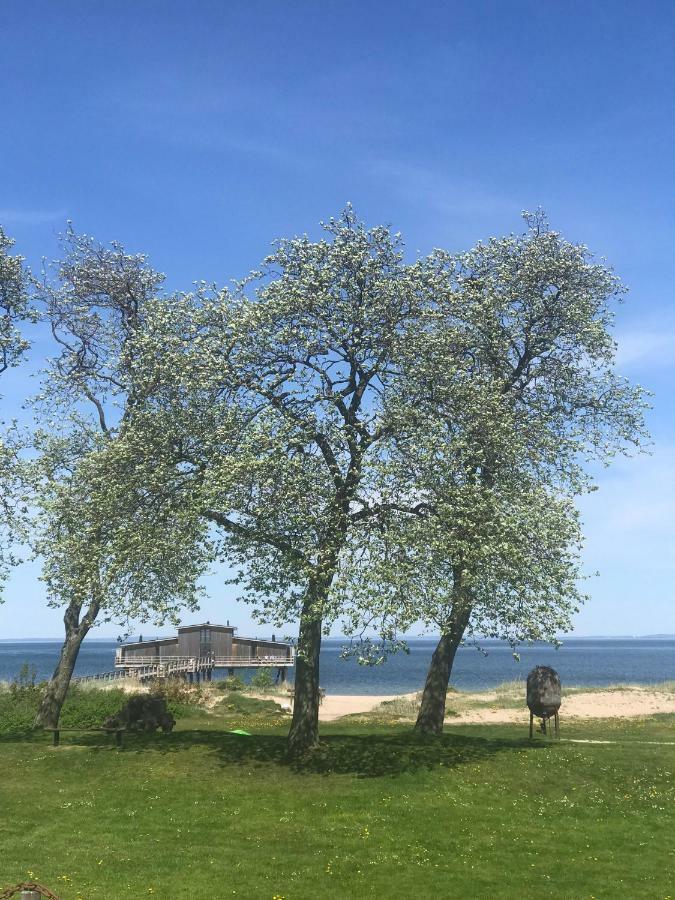 Tree Top Hill - The Old Station House - Bastad Holiday Apartments 외부 사진